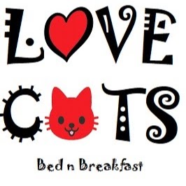 Love Cats Bed n Breakfast | 11 Dicksons Rd, Jilliby NSW 2259, Australia | Phone: 0412 999 505