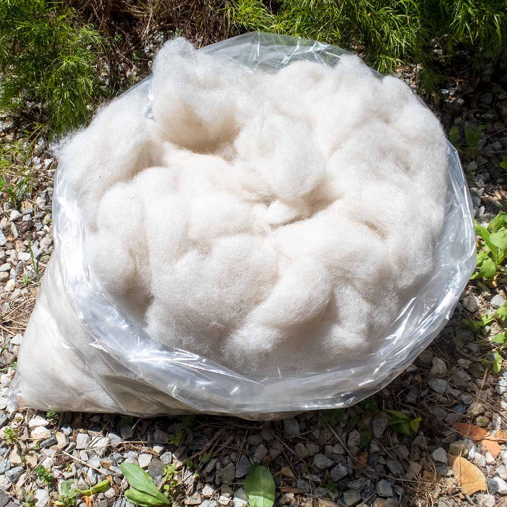 Tin Dragon Alpaca Fibre | 3 Coxs Ln, Branxholm TAS 7261, Australia | Phone: 0407 501 137