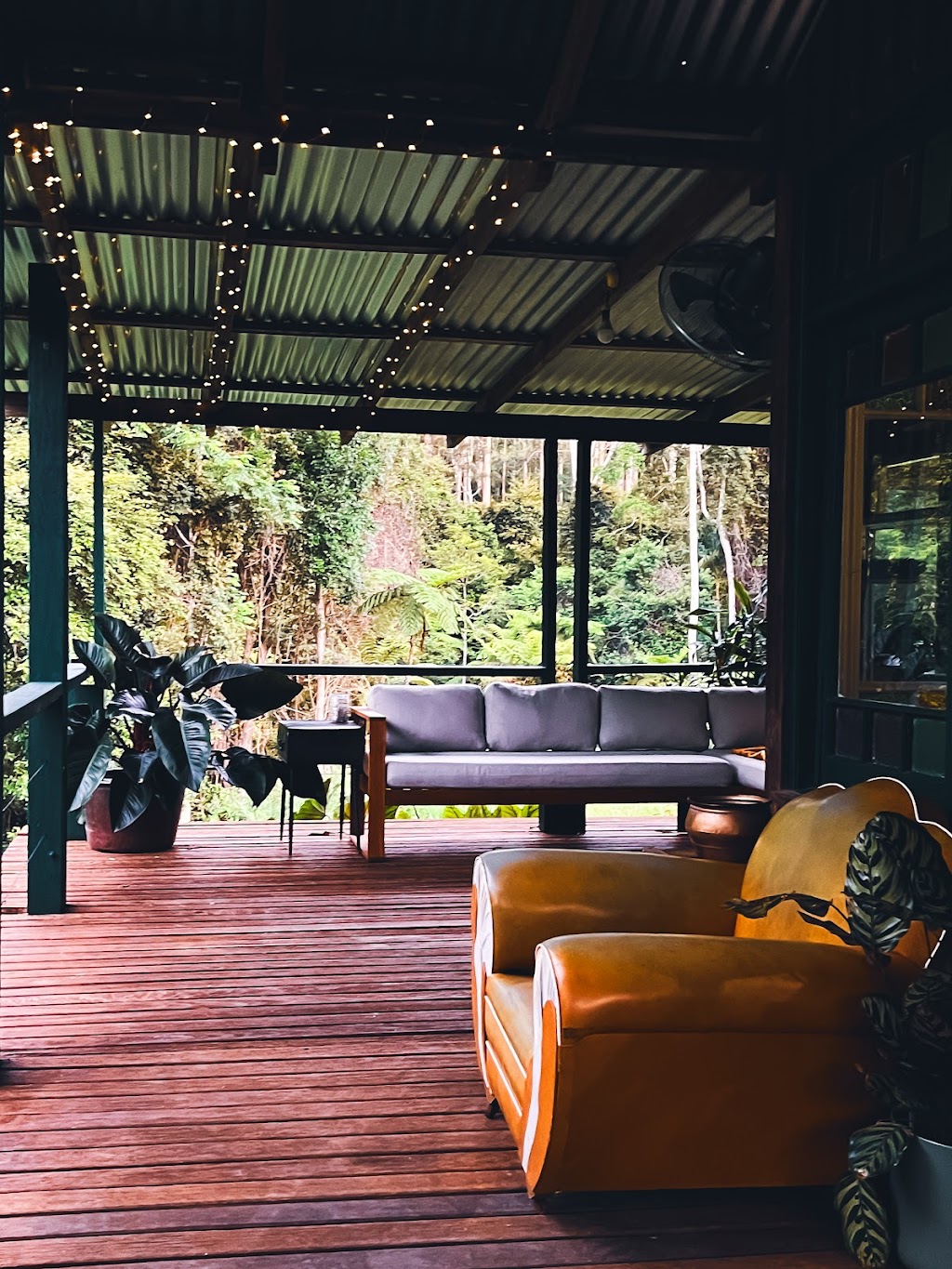 Rainbow Creek | 1257 Kalang Rd, Kalang NSW 2454, Australia | Phone: 0481 258 458