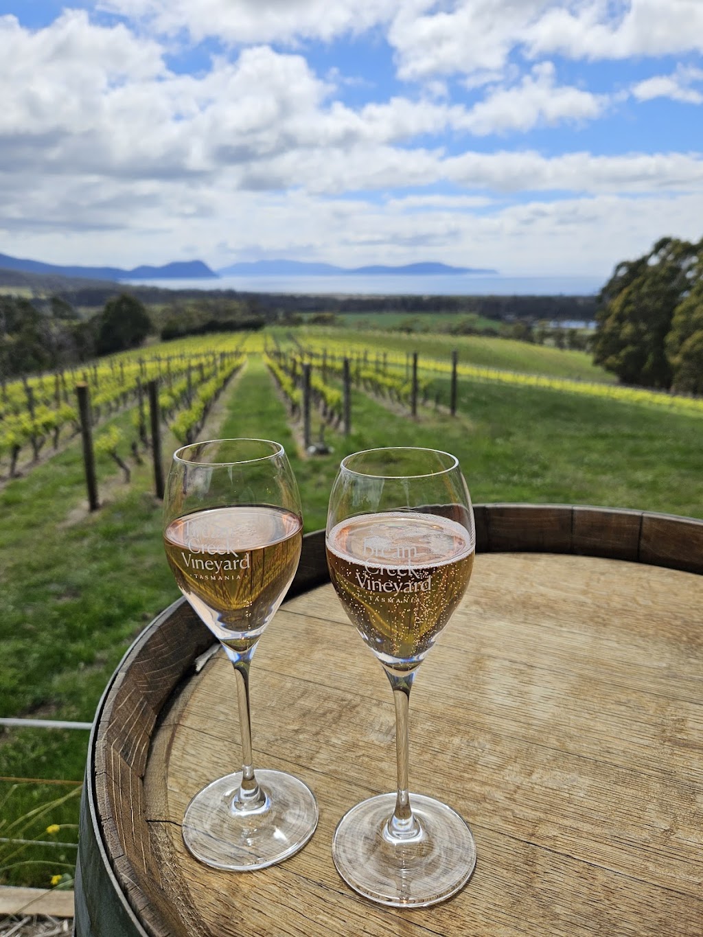 Bream Creek Vineyard | 321 Marion Bay Rd, Bream Creek TAS 7175, Australia | Phone: 0447 139 054