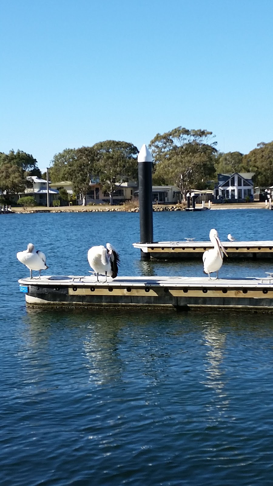 Paynesville Maritime Museum | museum | Raymond St, Paynesville VIC 3880, Australia | 0351566582 OR +61 3 5156 6582