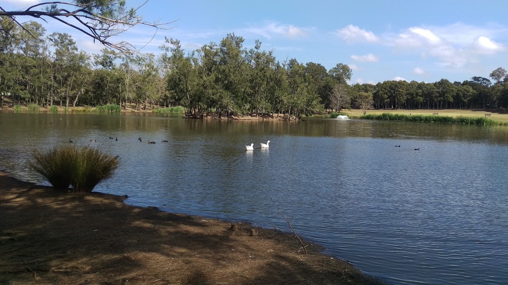 Werrington Lakes Reserve - Burton St, Werrington NSW 2747, Australia