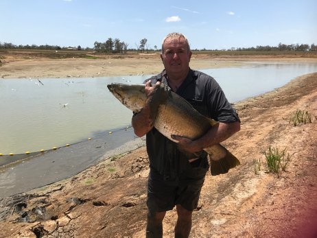 Abington Aquaculture | 510 Abington Rd, Abington QLD 4660, Australia | Phone: (07) 4126 1678