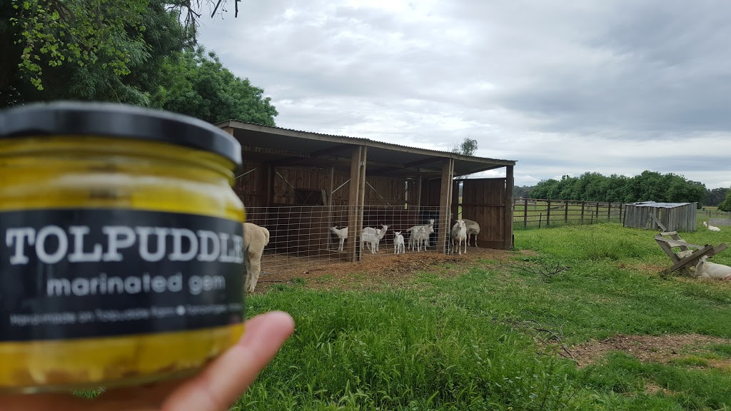 Tolpuddle Goat Cheese and Farm Foods | 70 Rusholme Rd, Tarrawingee VIC 3678, Australia | Phone: (03) 5725 1759