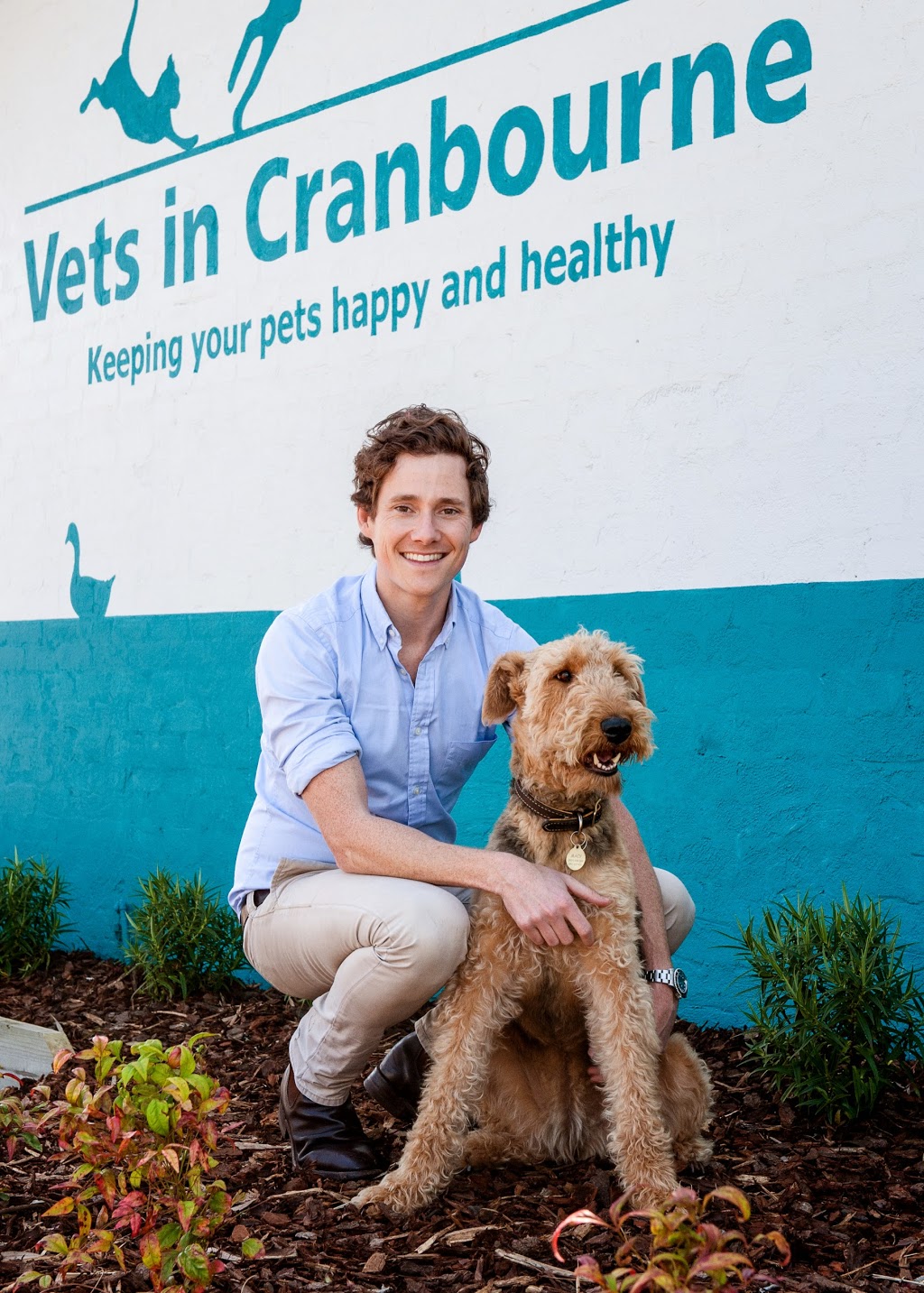 Vets in Cranbourne | veterinary care | 199 S Gippsland Hwy, Cranbourne VIC 3977, Australia | 0359953444 OR +61 3 5995 3444
