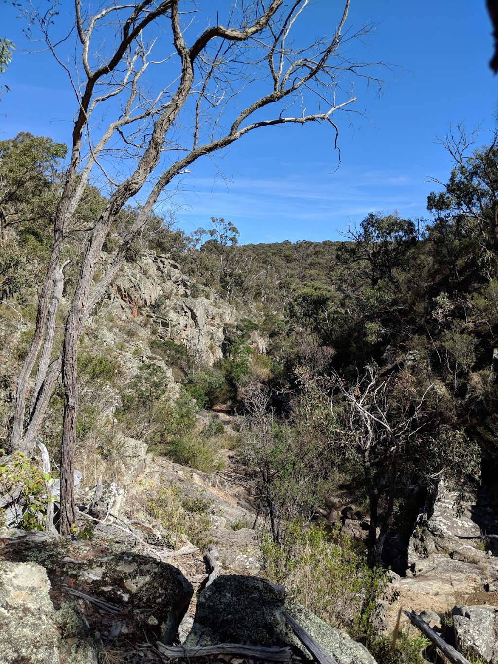 Brisbane Ranges National Park | Steiglitz VIC 3331, Australia