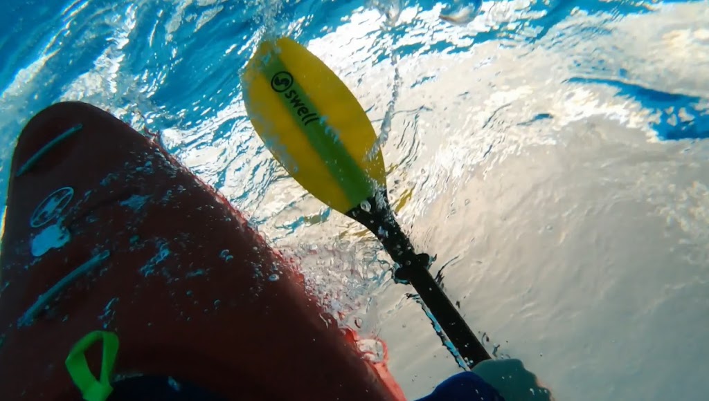 Encounter Sea Kayaking | Kent Dr, Victor Harbor SA 5211, Australia | Phone: 0422 079 355