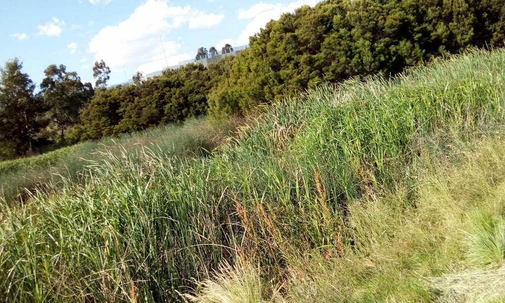 Jacana Wetlands | park | Gowanbrae VIC 3043, Australia