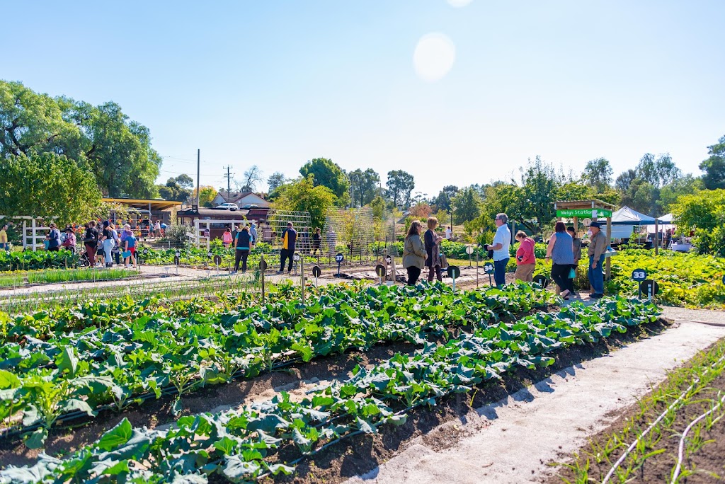 PepperGreen Farm |  | 40-44 Thunder St, North Bendigo VIC 3550, Australia | 0354459888 OR +61 3 5445 9888