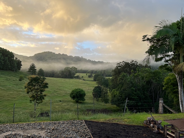 Fernvale Farm | 487 Wardrop Valley Rd, Fernvale NSW 2484, Australia | Phone: 0408 188 184
