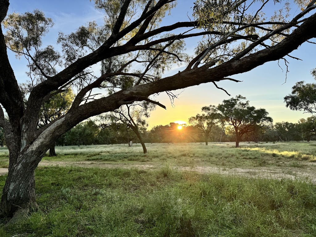 Franc Villers Station | Francvillers Station, Cunnamulla QLD 4490, Australia | Phone: 0409 897 172