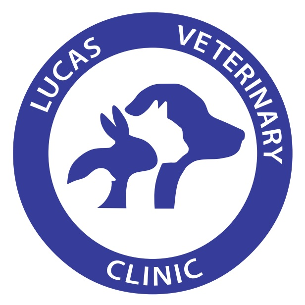Lucas Veterinary Clinic | veterinary care | 9 Merz St, Lucas VIC 3350, Australia | 0353039000 OR +61 3 5303 9000