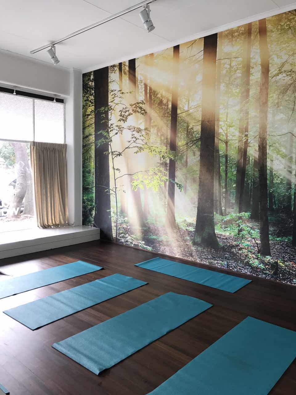 Little Warriors Yoga | 27 Mills St, Albert Park VIC 3206, Australia | Phone: (03) 8644 4084