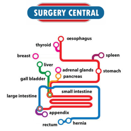 Surgery Central - Dr Costa Karihaloo, Dr Chris ONeill, Dr Adeeb | hospital | Unit 1, Level 2/6-8 Sydney St, Gateshead NSW 2290, Australia | 0249478177 OR +61 2 4947 8177