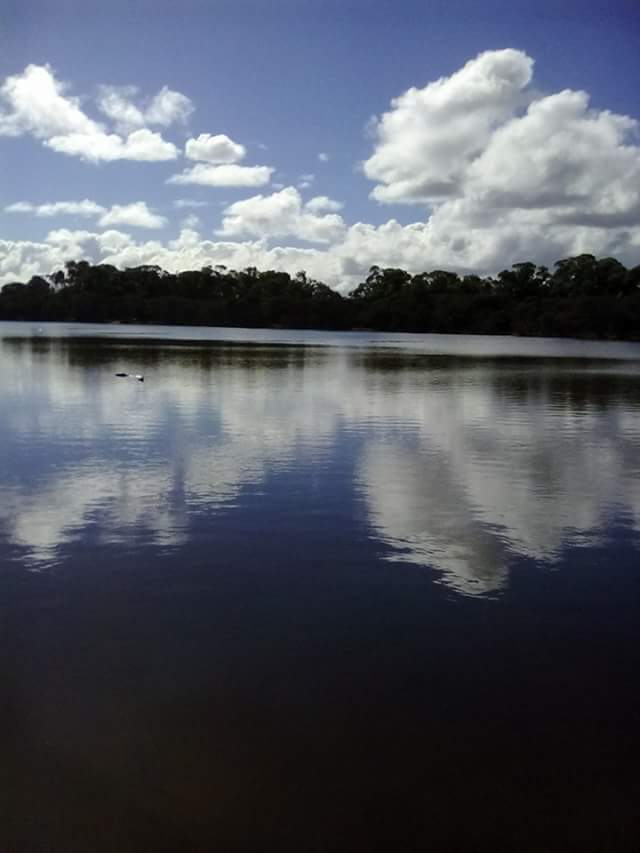 Manning Park | park | 61 Azelia Rd, Spearwood WA 6163, Australia