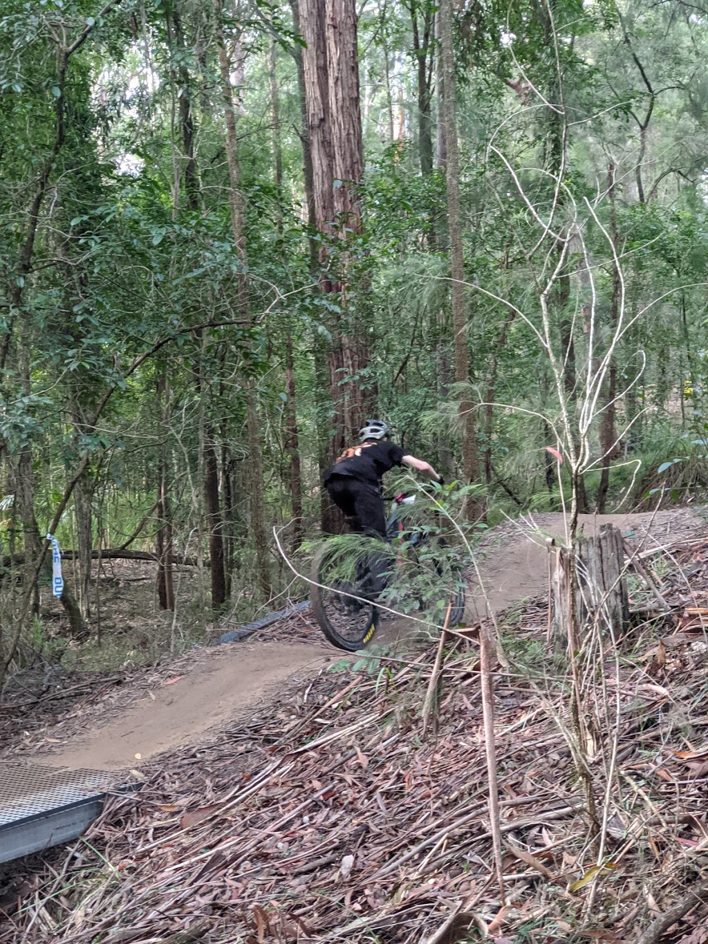 Awaba Mountain Bike Park | Jenkins Rd, Freemans Waterhole NSW 2323, Australia | Phone: (02) 4973 4446