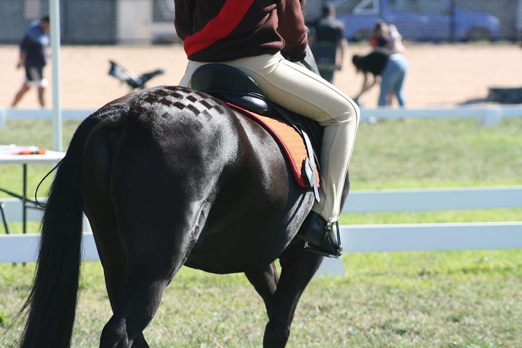 Winston Park Equestrian Centre |  | 3 Goulding Ct, Broadford VIC 3658, Australia | 0403209811 OR +61 403 209 811