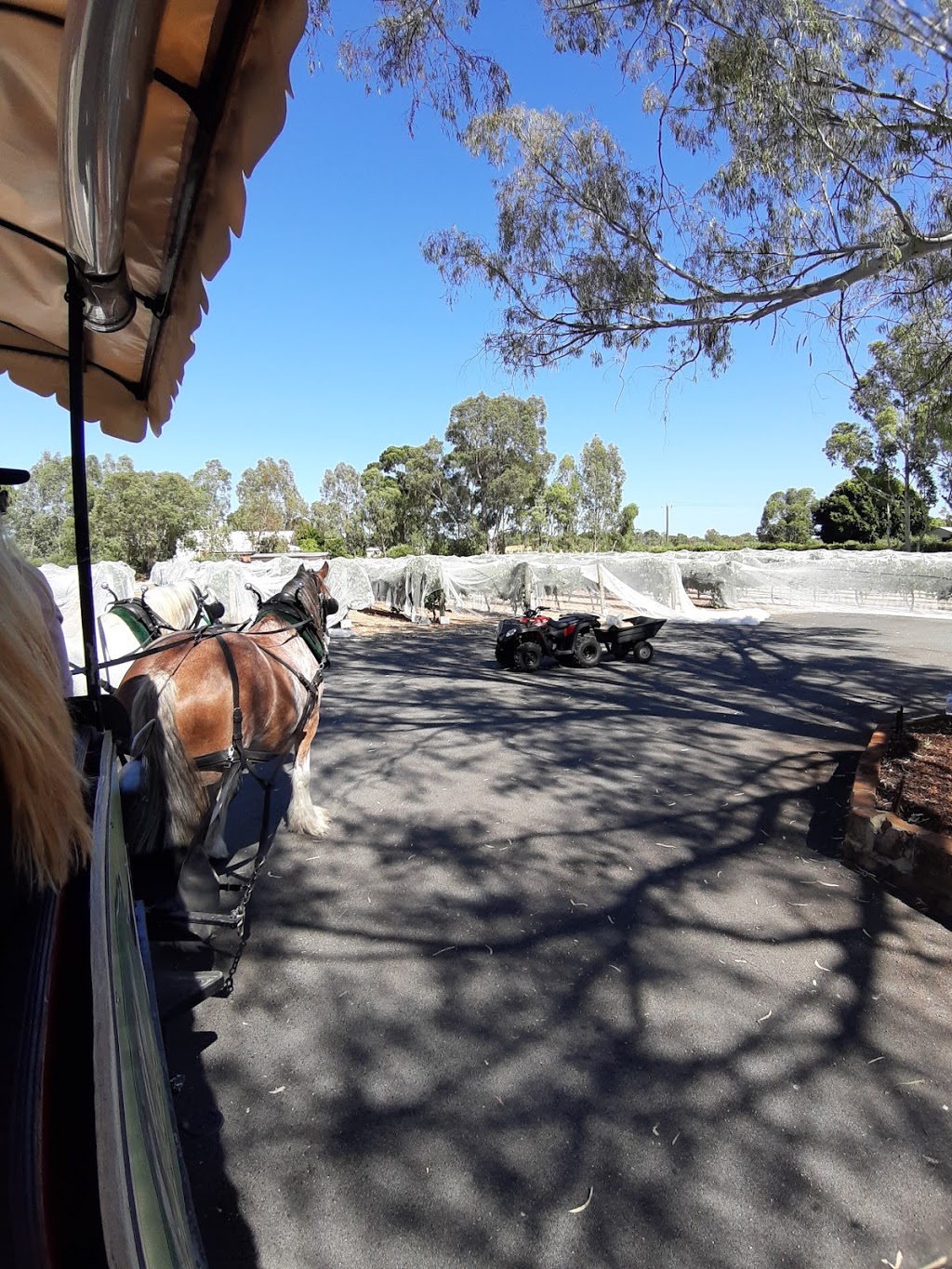 Swan Valley Wagon Tours | 58 Cranleigh St, West Swan WA 6055, Australia | Phone: 0412 917 496