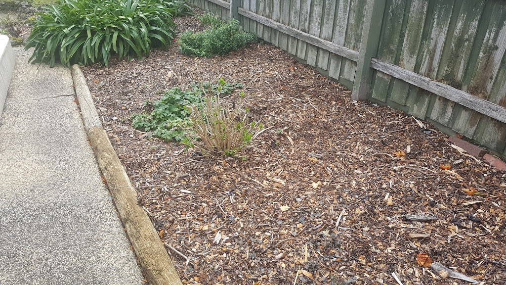 Transform Gardening | 10 Landy Ct, Wantirna South VIC 3152, Australia | Phone: 0433 162 070