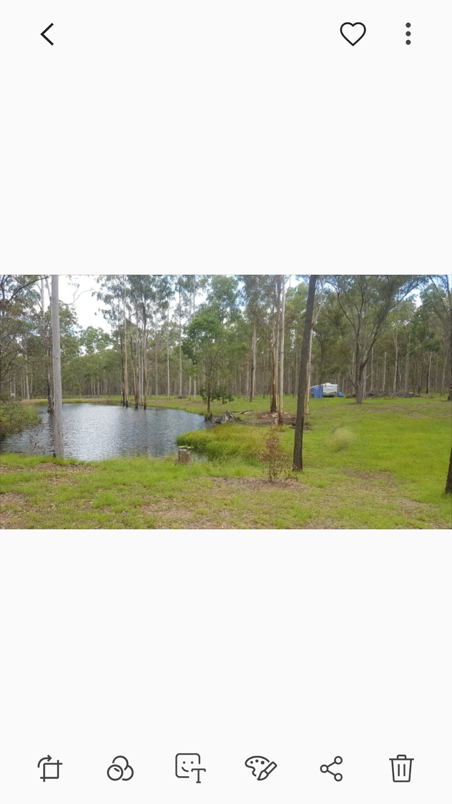 Childers nature camp | 264 Cooks Rd, South Isis QLD 4660, Australia | Phone: 0418 405 914