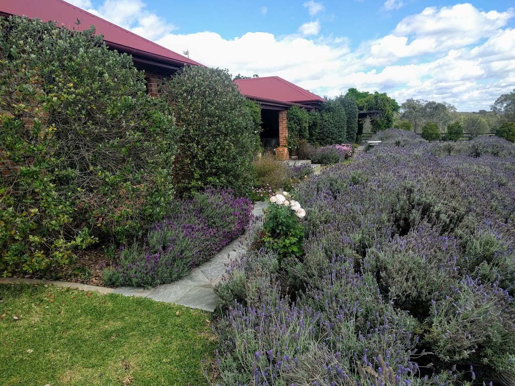 The Ballabourneen Estate | lodging | 24 The Ballabourneen, Rothbury NSW 2320, Australia