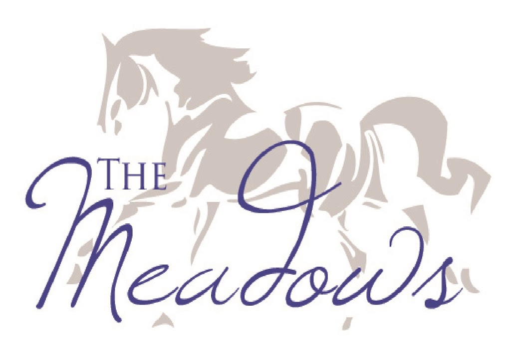The Meadows Stables |  | 740 Main Drain Rd S, Koo Wee Rup North VIC 3981, Australia | 0359977415 OR +61 3 5997 7415