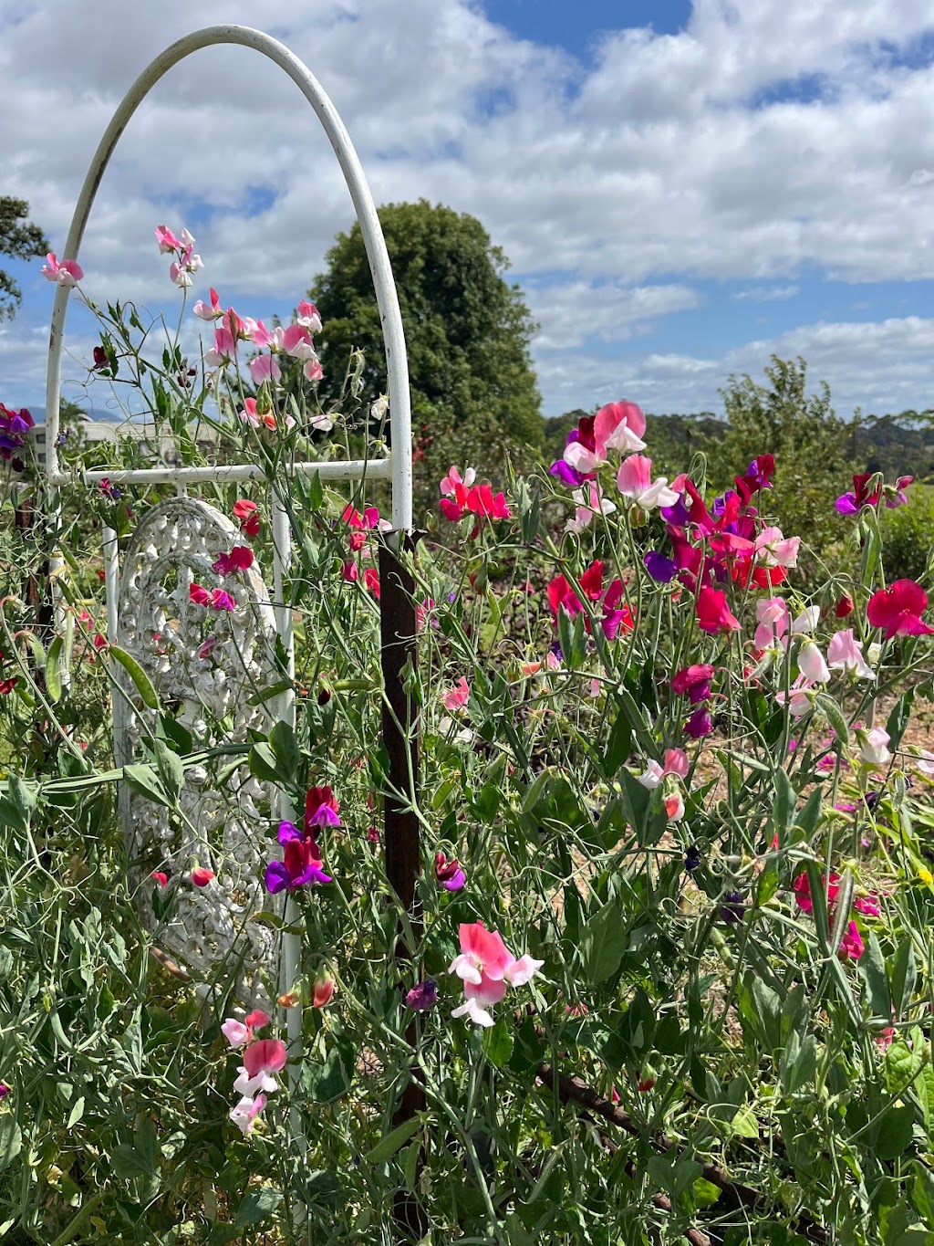 The Big Green Shed | 194 Kennedys Ln, Ewingsdale NSW 2481, Australia | Phone: 0401 781 276