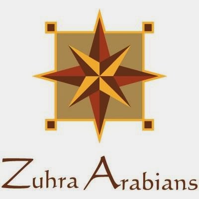 Zuhra Arabian Horses | 421 Russells Rd, Pine Mountain QLD 4306, Australia | Phone: 0408 726 227