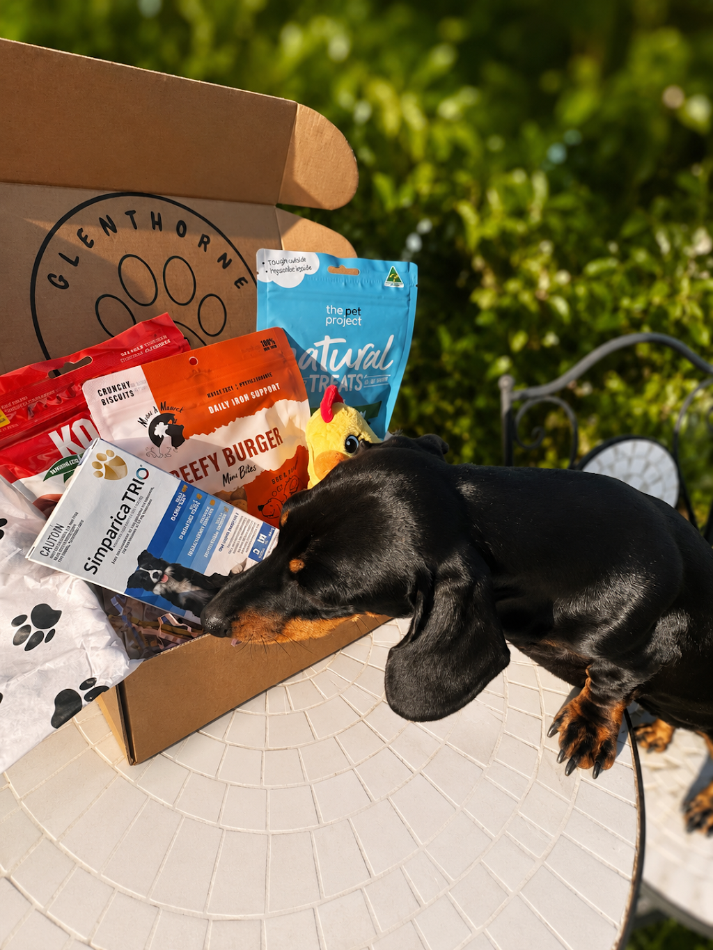 Glenthorne Paw Packs | Glen Martin Rd, Glen Martin NSW 2321, Australia | Phone: 0423 224 346