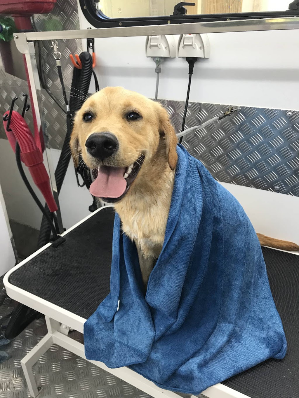Happy Paws Pet Wash |  | 31 Silvester St, Redcliffe QLD 4020, Australia | 0452233289 OR +61 452 233 289