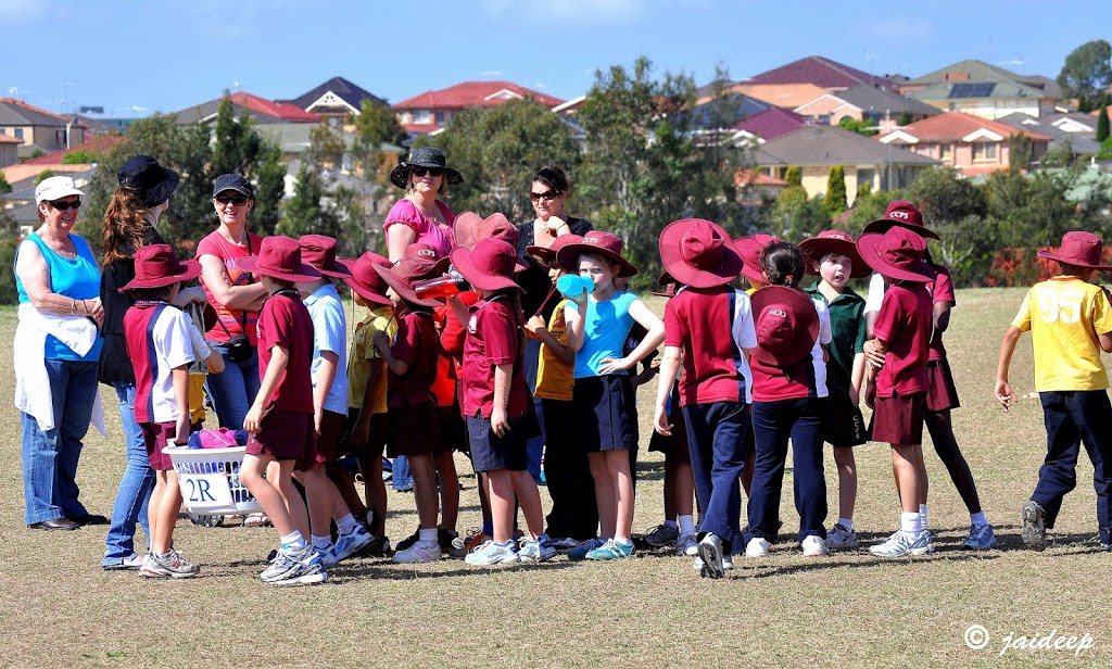 Caddies Creek Public School | school | 21 Glenwood Park Dr, Glenwood NSW 2768, Australia | 0288145916 OR +61 2 8814 5916
