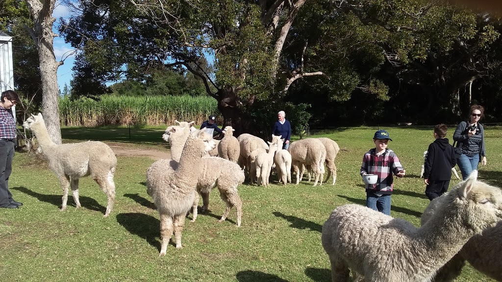 Cardiff Alpacas | store | 165 Nicholsons Ln, Harwood NSW 2465, Australia | 0266464377 OR +61 2 6646 4377