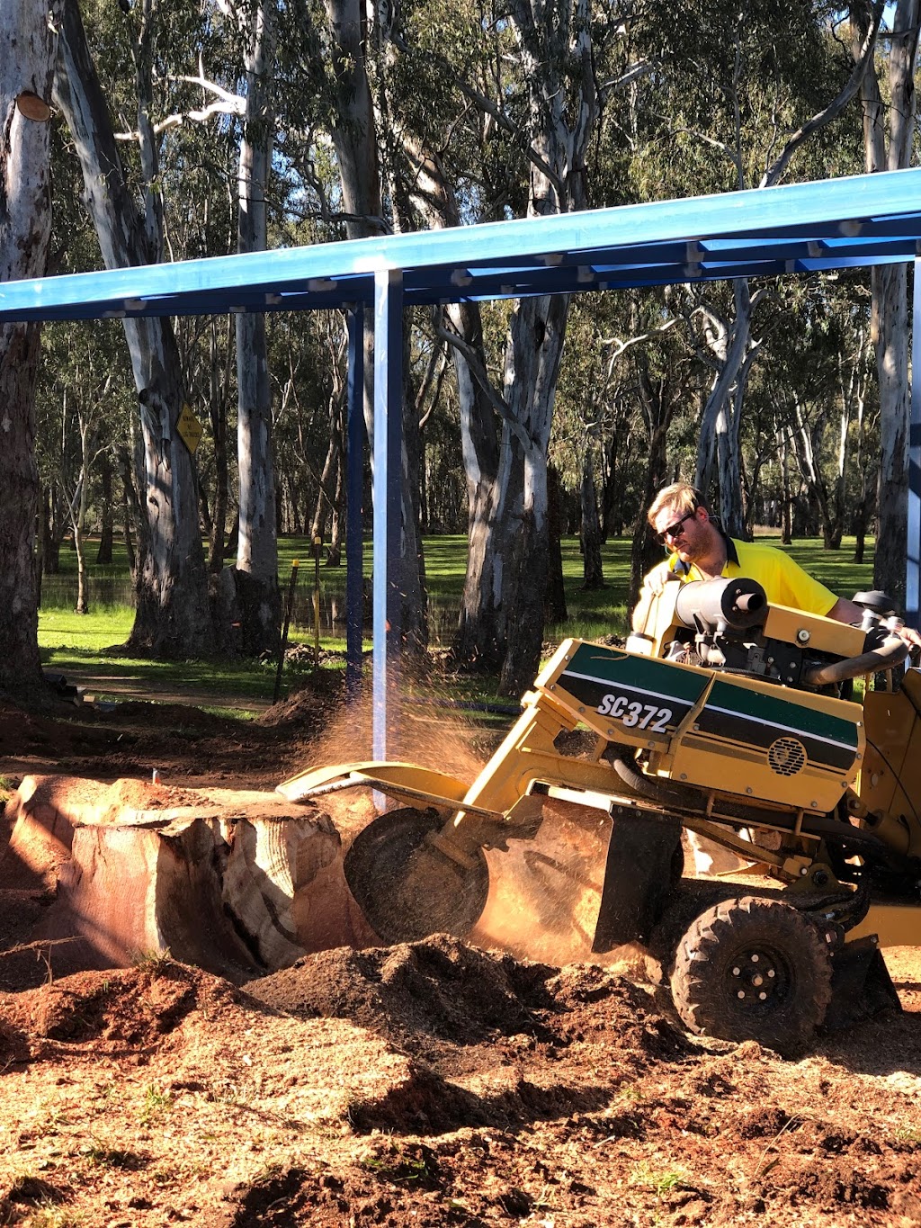 Federation Tree Care | 28 Banff St, Corowa NSW 2646, Australia | Phone: 0448 742 766