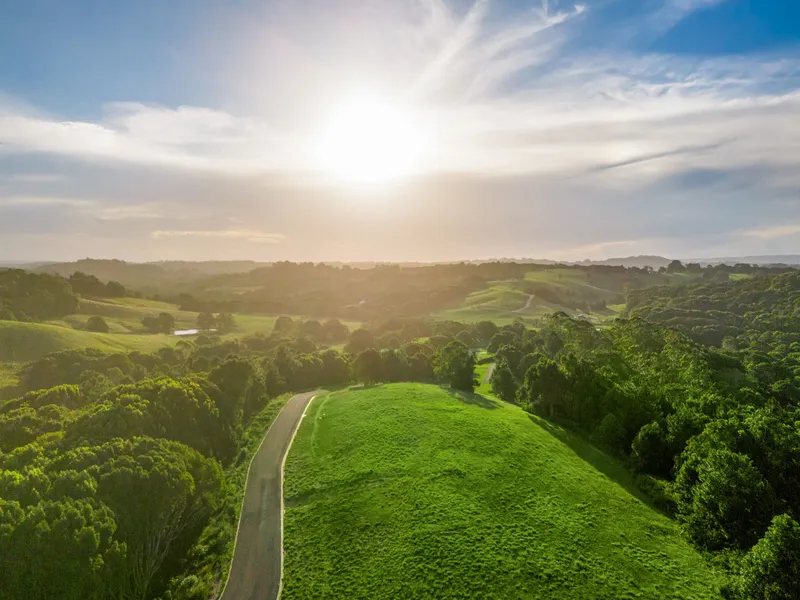 Tallowwood Agricultural Service | 198 Kanes Rd, Round Mountain NSW 2484, Australia | Phone: 0430 237 260