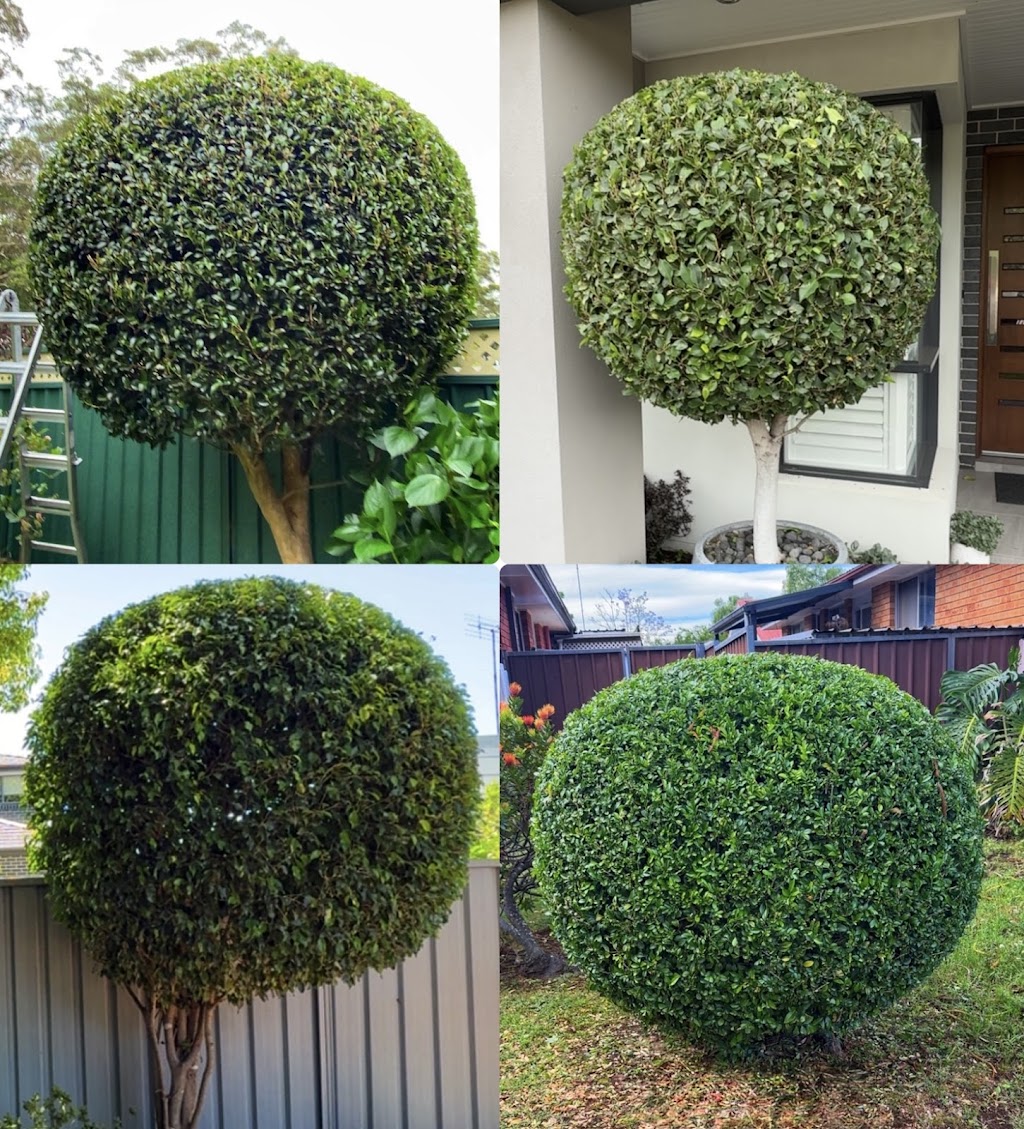 Premier Gardens NSW - High end garden maintenance | Kenthurst Rd, Kenthurst NSW 2156, Australia | Phone: 0413 200 144