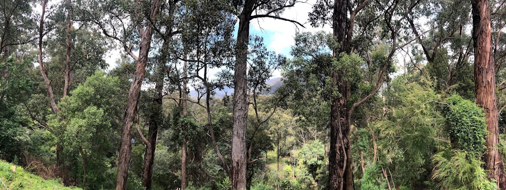 Mountain Valley Massage | 40 William Cres, Millgrove VIC 3799, Australia | Phone: 0421 131 470