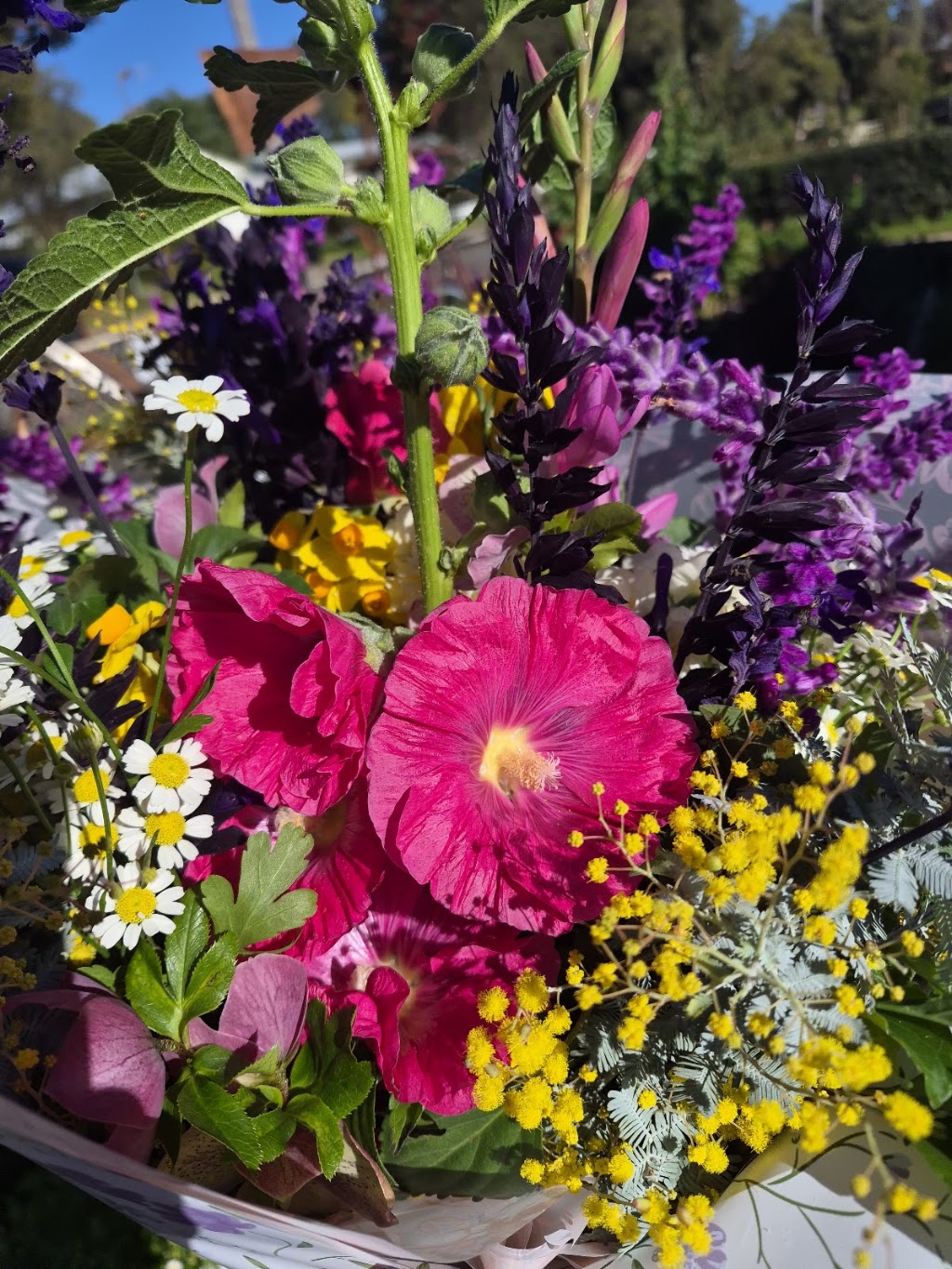 Dragonfly Designs flower cart & plant stall | 64 Mayne St, Gulgong NSW 2852, Australia | Phone: 0401 381 918
