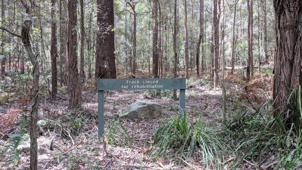 Dalrymple-Hay Nature Reserve | park | St. Ives NSW 2075, Australia | 0284480400 OR +61 2 8448 0400