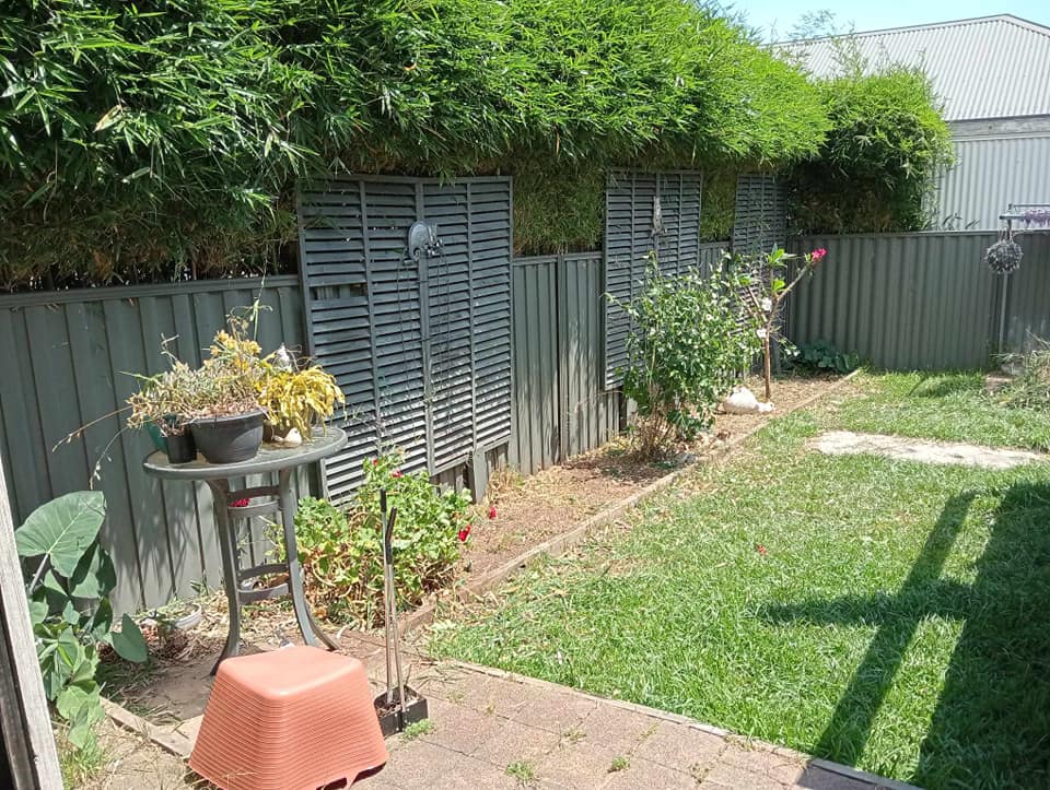 Weedwhizz | 10 Rees James Rd, Raymond Terrace NSW 2324, Australia | Phone: 0482 977 806