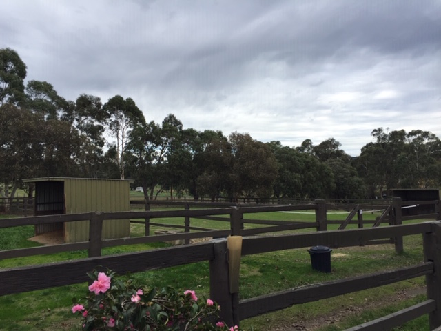 Arragon Homestead Riding and Agistment | travel agency | 32 Homestead Rd, Wonga Park VIC 3115, Australia | 0397221252 OR +61 3 9722 1252