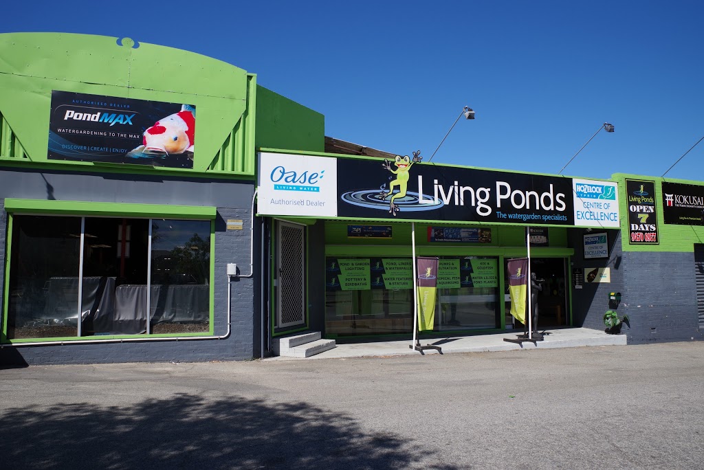 Living Ponds | pet store | 363 Shepperton Rd, East Victoria Park WA 6101, Australia | 0894706977 OR +61 8 9470 6977