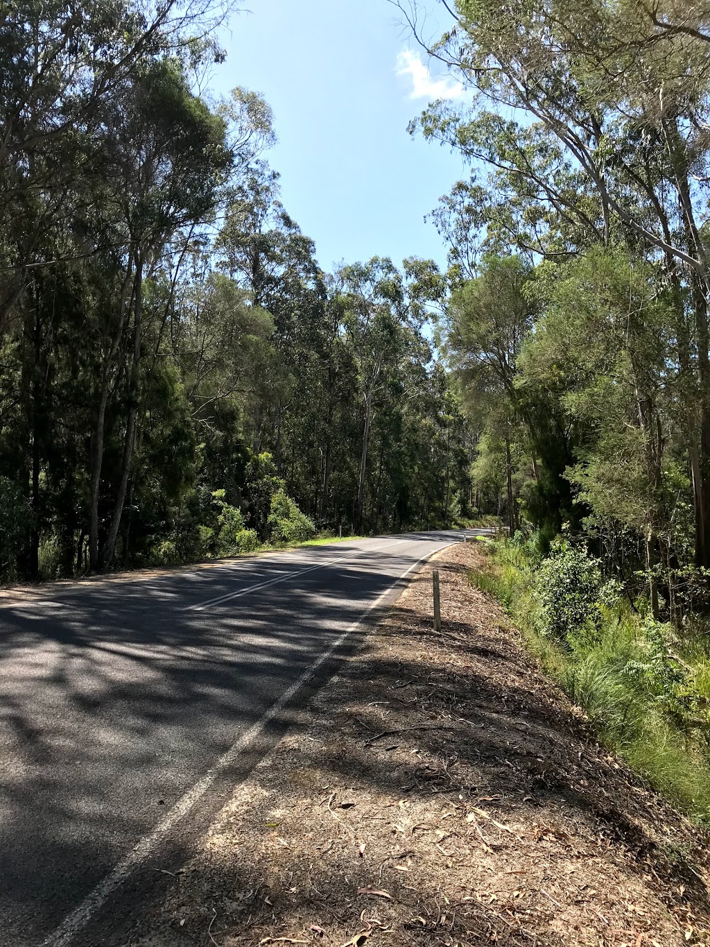 Double Creek Nature Walk | park | 1472 Genoa-Mallacoota Rd, Genoa VIC 3891, Australia