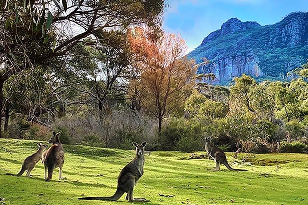 Grampians Retreat | 110 Wrights Rd, Dunkeld VIC 3294, Australia | Phone: (03) 5577 2257