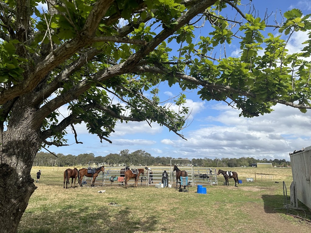 Braemoor Equestrian | 95 Great Southern Rd, Bargo NSW 2574, Australia | Phone: 0488 550 223