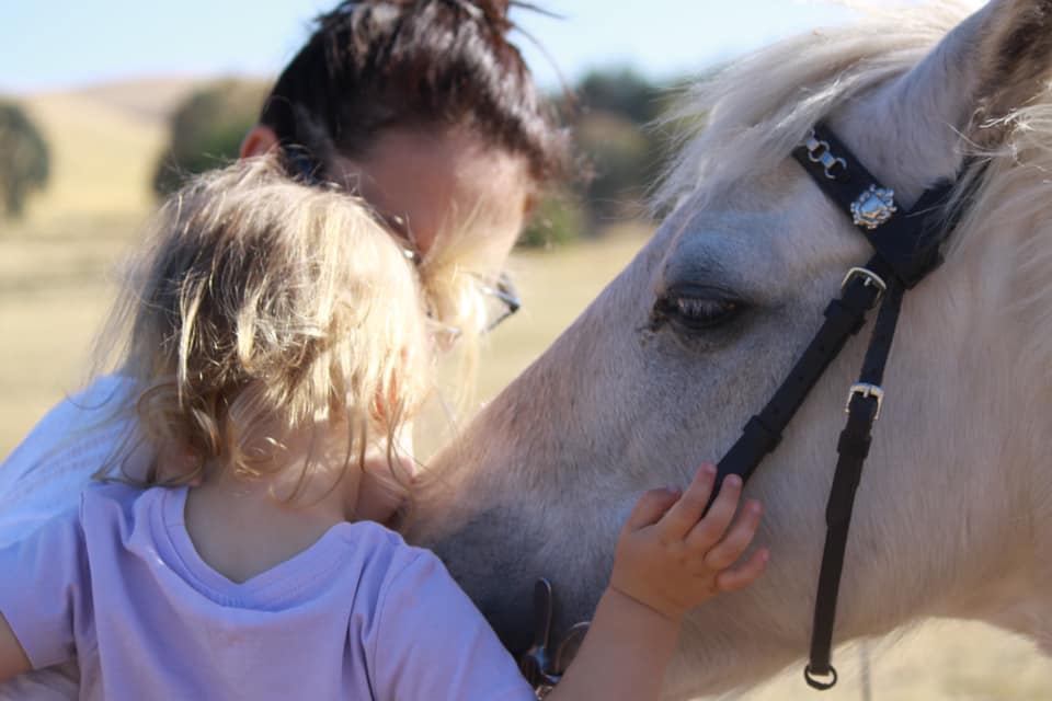 Mansfield Riding Centre | 137 Mt Battery Rd, Mansfield VIC 3722, Australia | Phone: 0412 943 991