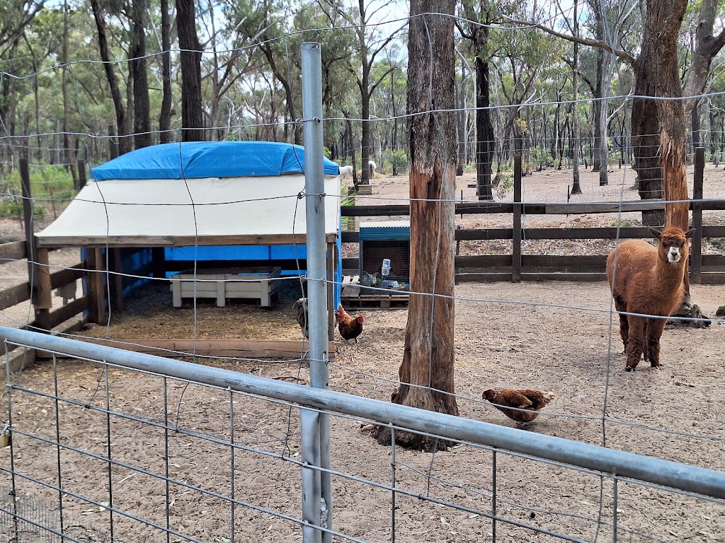 Ironstone Hill Activity Farm | Jackass Flat VIC 3556, Australia | Phone: (03) 4432 7371