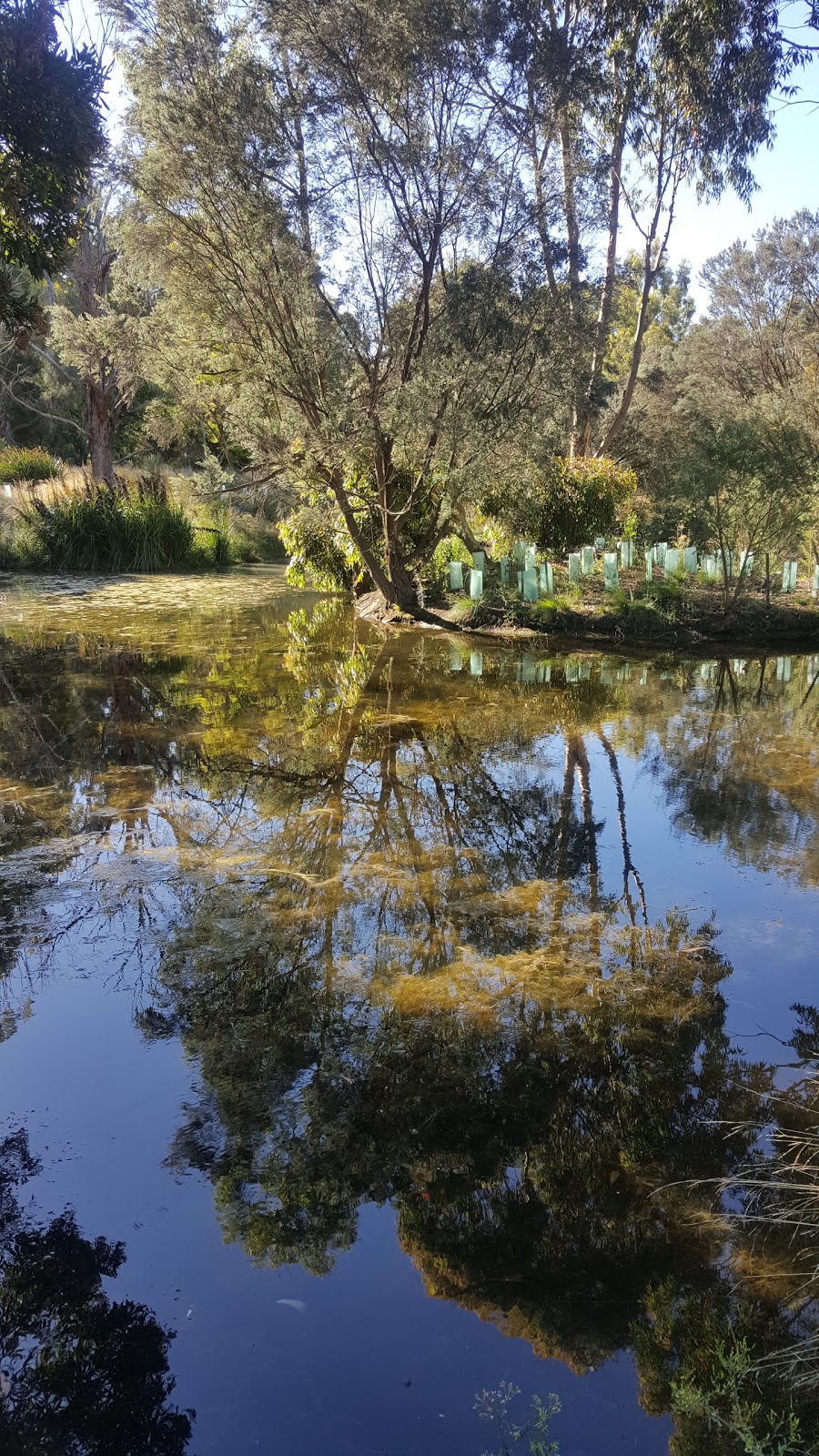 Mount Gambier Valley Lake | Elliott Dr, Mount Gambier SA 5290, Australia | Phone: (08) 8724 9750