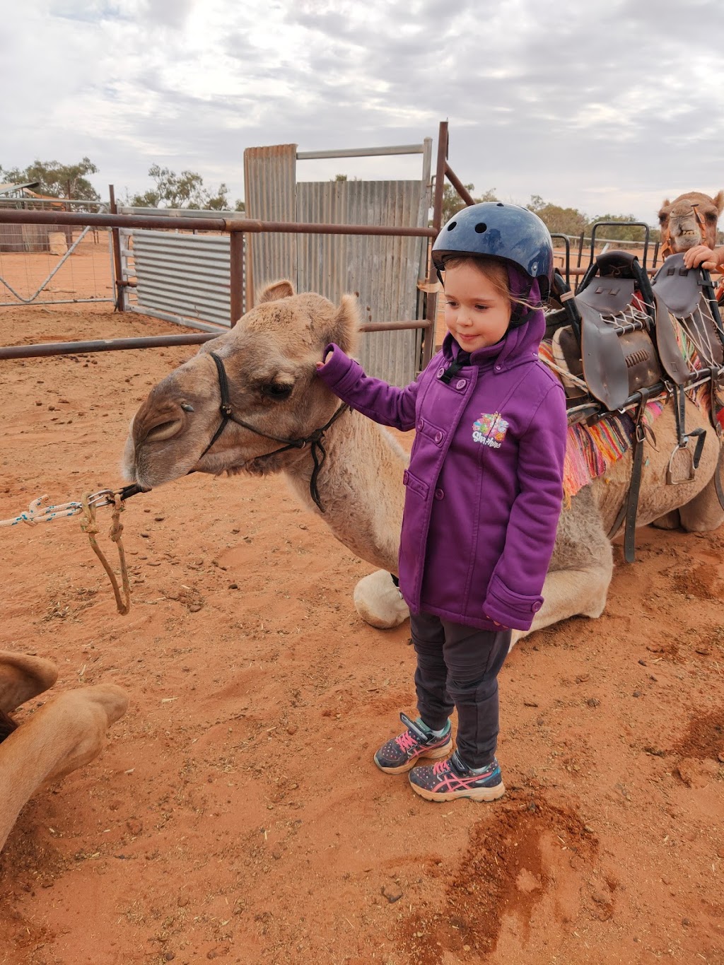 Silverton Outback Camels | tourist attraction | 1939 Silverton Rd, Silverton NSW 2880, Australia | 0428602664 OR +61 428 602 664