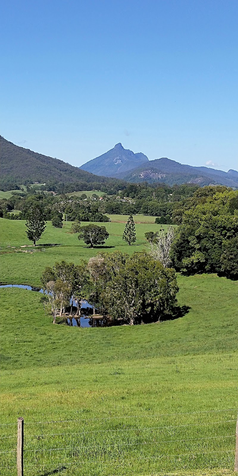 Crystal Creek Farm Stay | lodging | 922 Numinbah Rd, Crystal Creek NSW 2484, Australia | 0408453708 OR +61 408 453 708