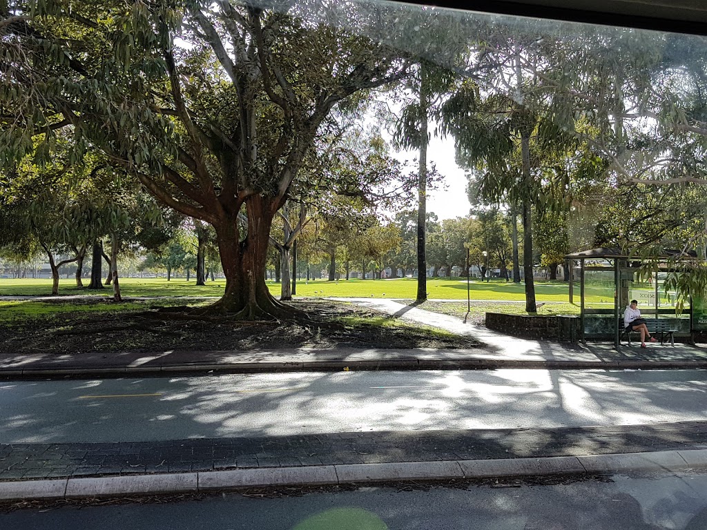 Wellington Square | park | Wellington St, East Perth WA 6004, Australia | 0894613333 OR +61 8 9461 3333